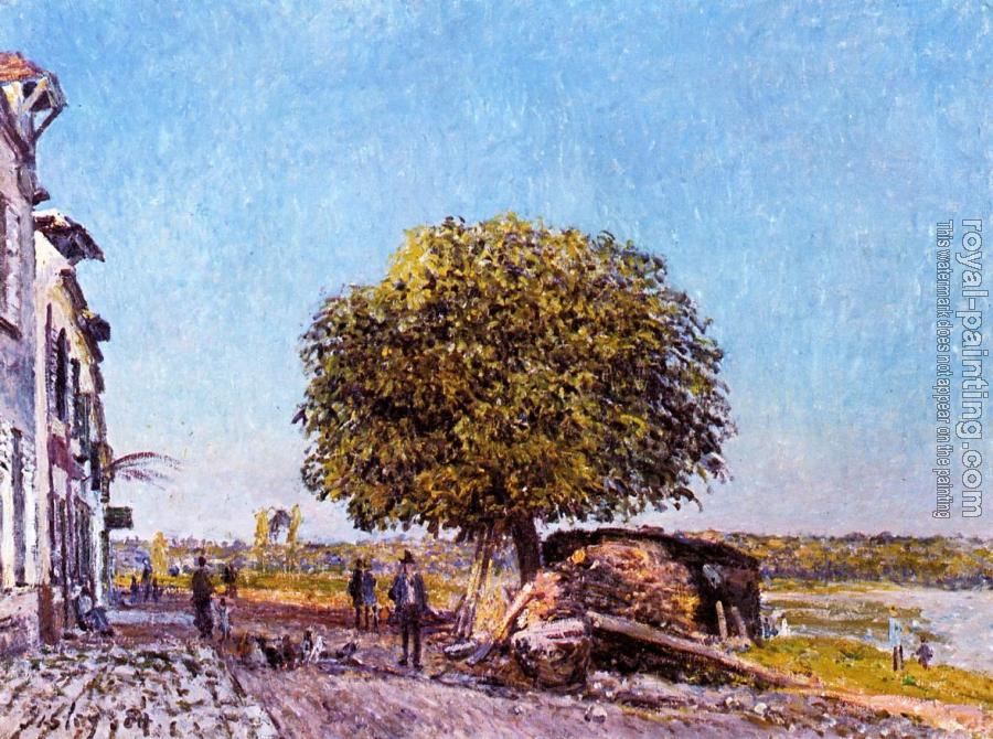 Alfred Sisley : Chestnut Tree at Saint-Mammes